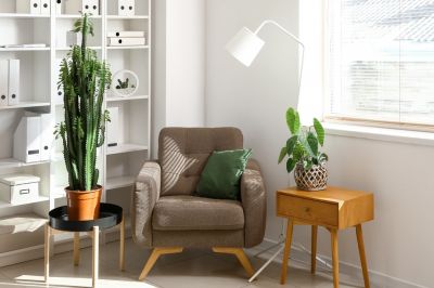 Windows Provide Lots of Natural Lighting